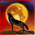 Coyote Symbol